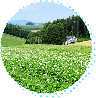 山形県西村山郡にある果物と心を育む農園 だいちゃん農園