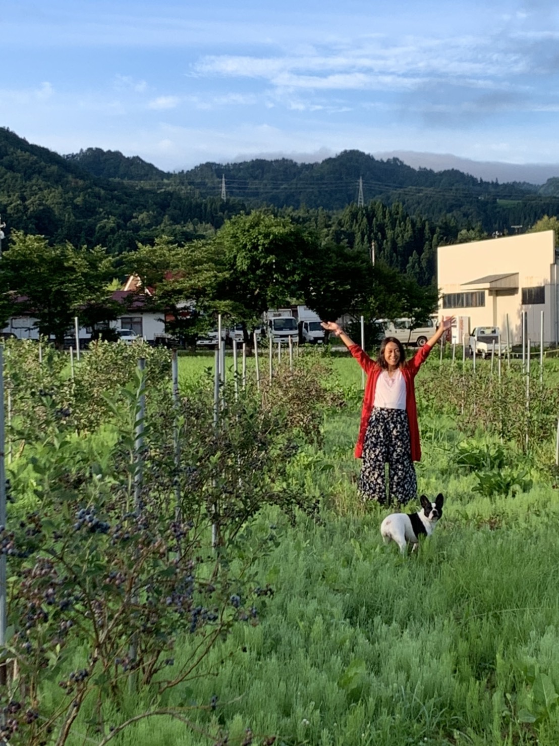 最上川氾濫．大変ご心配をお掛け致しましたが、りんごも家も大丈夫でした♪